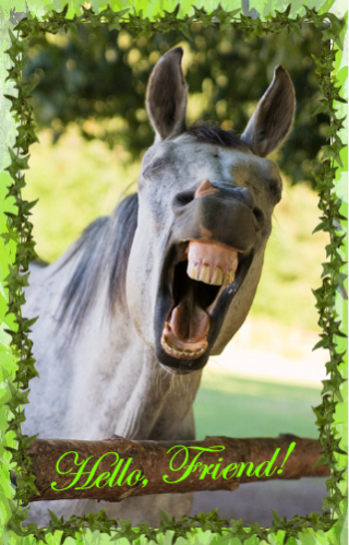 Horse Sense ~ Hello, Friend