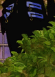 Seiya Kou