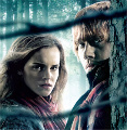 Ron & Hermione