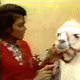 Michael Jackson, King, Love