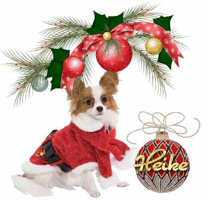 christmas cute dog  Heike