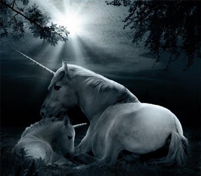 wild horses runnimg