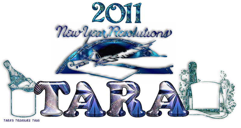 2011 New Year Resolutions Tara