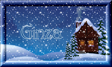 Winter Beauty - Ginza