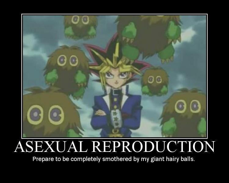yu-gi-oh demotivational, abridged
