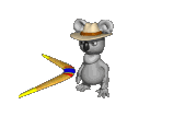 boomerang koala bear
