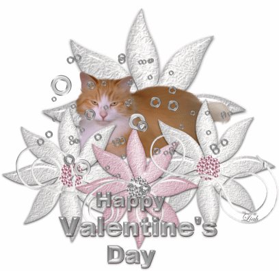 vvalentine day
