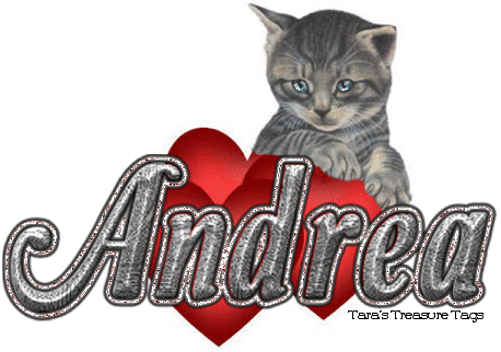 Valentine kitten Andrea