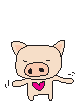 Pig Heart