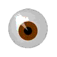 The Everseeing Eye