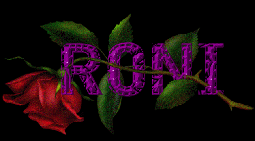 Red rose - Roni