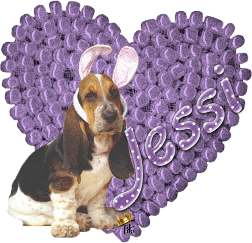 purple heart bassat dog Jessi
