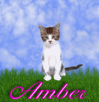 Amber