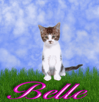 Belle
