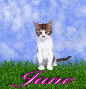 Jane