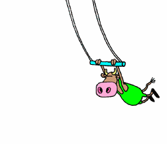 âœ¿sPoRtYâœ¿cOwâœ¿