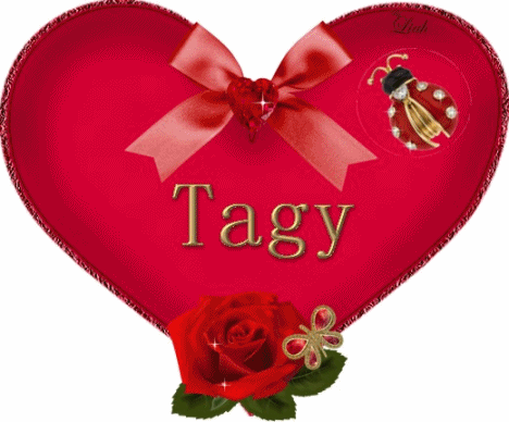 Tagy