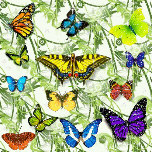SWEET GLISTENING BUTTERFLIES