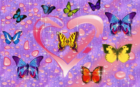 LOVE BUTTERFLIES