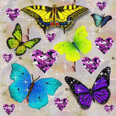 BUTTERFLY HEART LAND