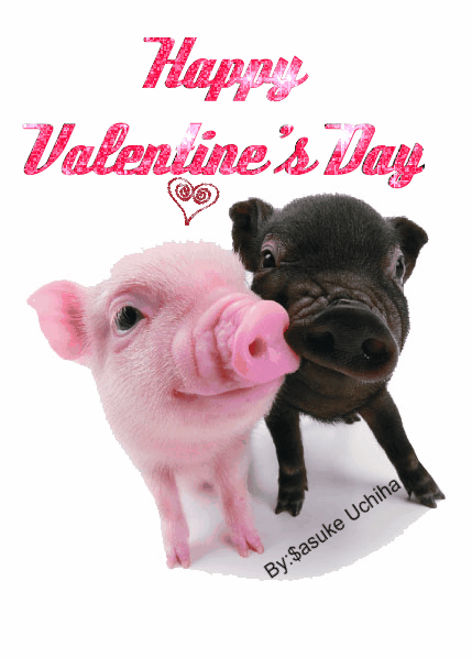 Valentine's Day-Pig