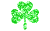 shamrock