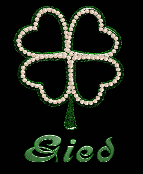 Gied