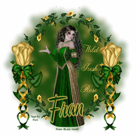 Fran - Wild Irish Rose