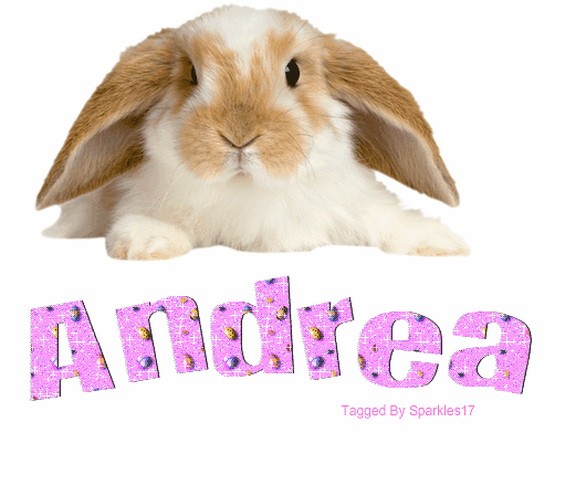Cute Bunny - Andrea
