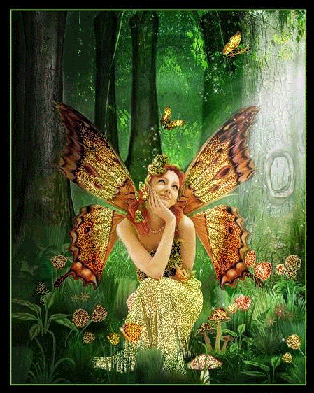 Fairy Dreamer