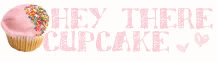 hey there cupcake :)