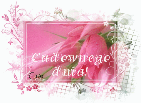cudownego dnia
