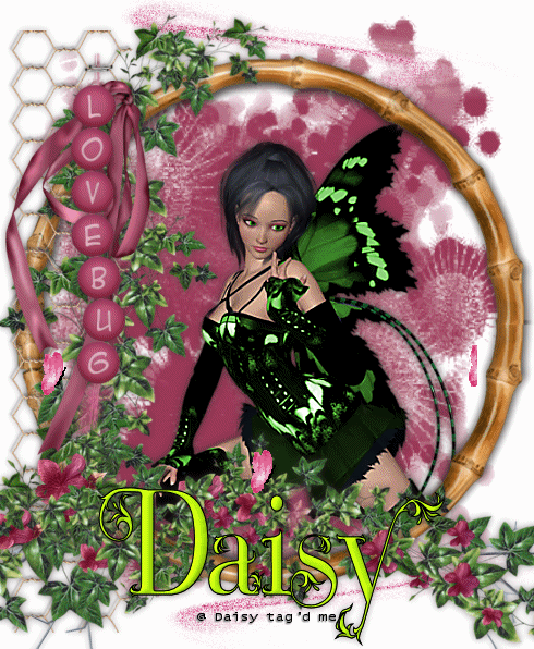 lovebug.Daisy
