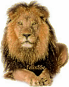 Lion the King