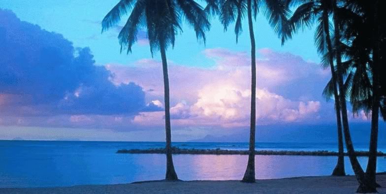 Paradise Blue