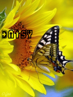 Daisy