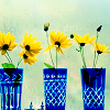 FlowersInCups;)