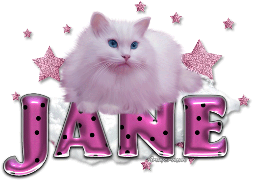 Jane-pink dots cat