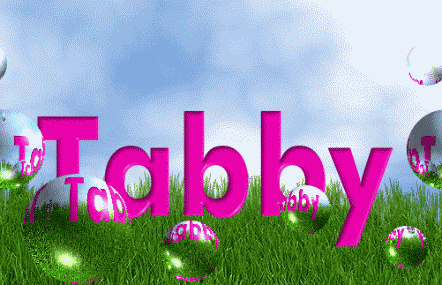 Tabby