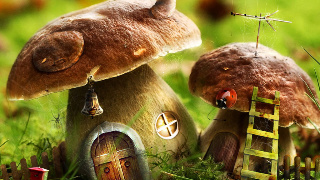Lil' Mushroom House