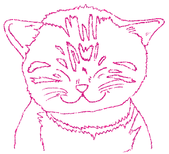 gatto