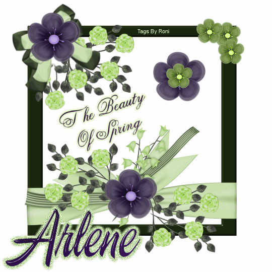 The Beauty of Spring - Arlene