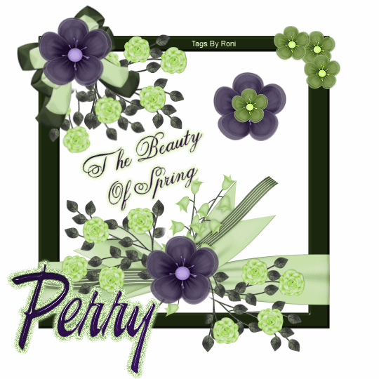 The Beauty of Spring - Perry