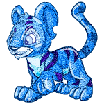 jelly kougra