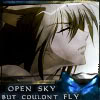 Open Sky But Couldn't Fly