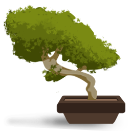 Bonsai Tree