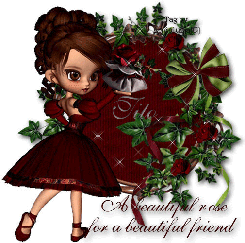 A beautiful rose for a beautiful friend-Tito