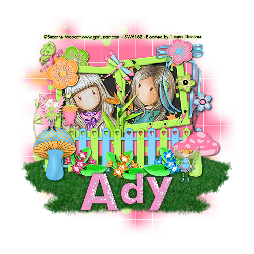 Magic Garden - Ady