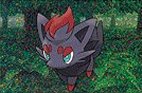 Zorua Friend
