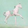 My flying horse